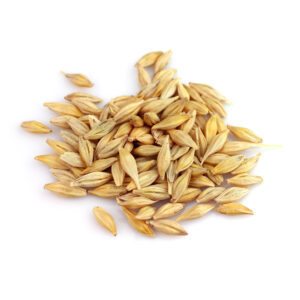 Pearl Barley