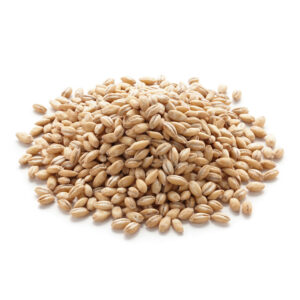Pearl barley